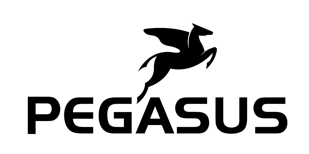 Pegasus Bikes
